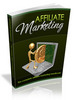 Thumbnail The Affiliate Marketing Handbook - PLR