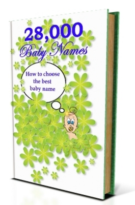 Product picture Big Book Of Baby Names - 28,000 Baby Names Ebook