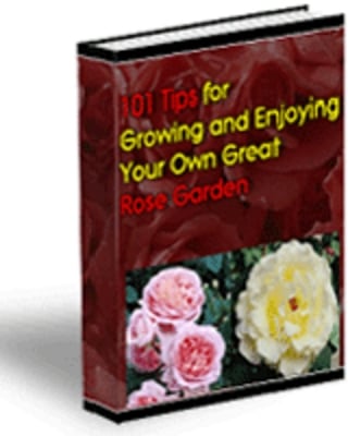 Product picture Tips For Growing Great Roses