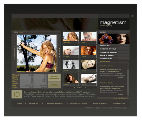 Product picture Modeling Agency Flash Website Template