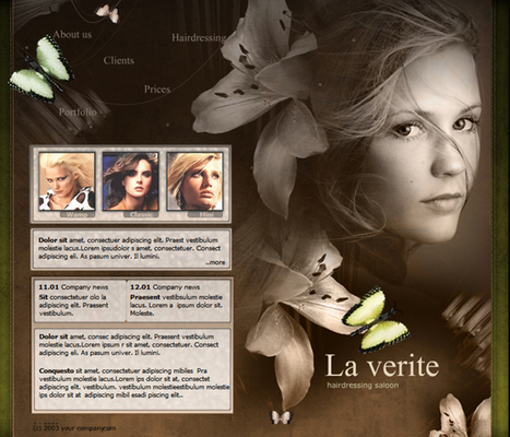 Product picture Salon Portfolio Flash Website Template