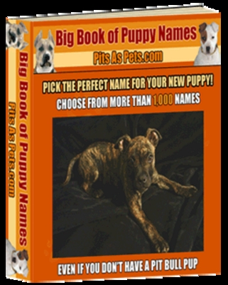 Product picture The Big Book Of Puppy Names