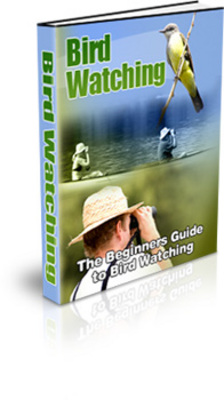 Product picture The Beginners Guide To Bird Watching