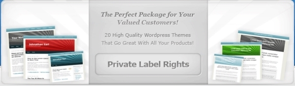 Product picture 10 Hot WordPress Themes