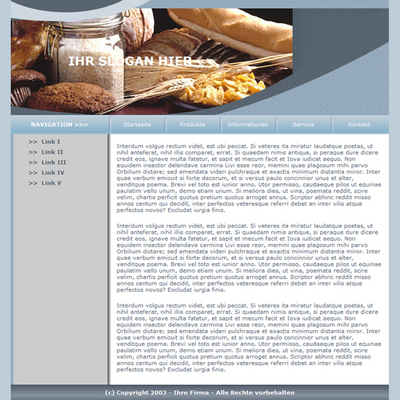 Product picture Camping - Camfire - Cooking - Website Template
