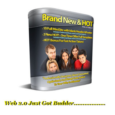 Product picture Web 2.0 Minisite Templates