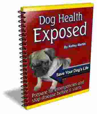 Product picture NEW! Dog Health Exposed