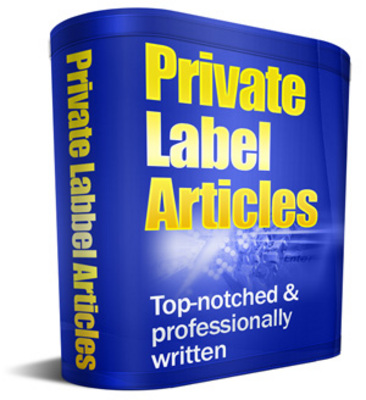 Product picture 480 PLR Small Business Articles