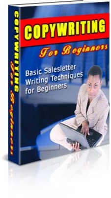 Product picture Copywriting For Beginners PLR